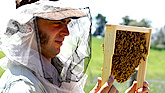 Natural Beekeeping Australia Courses