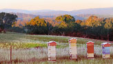 Go to Natural Beekeeping Australia Reading List